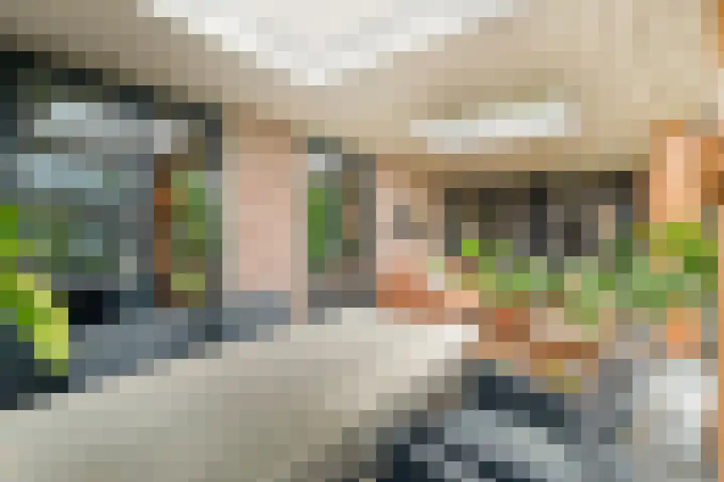 Lantmanstraat 18 Waarland thumbnail 34