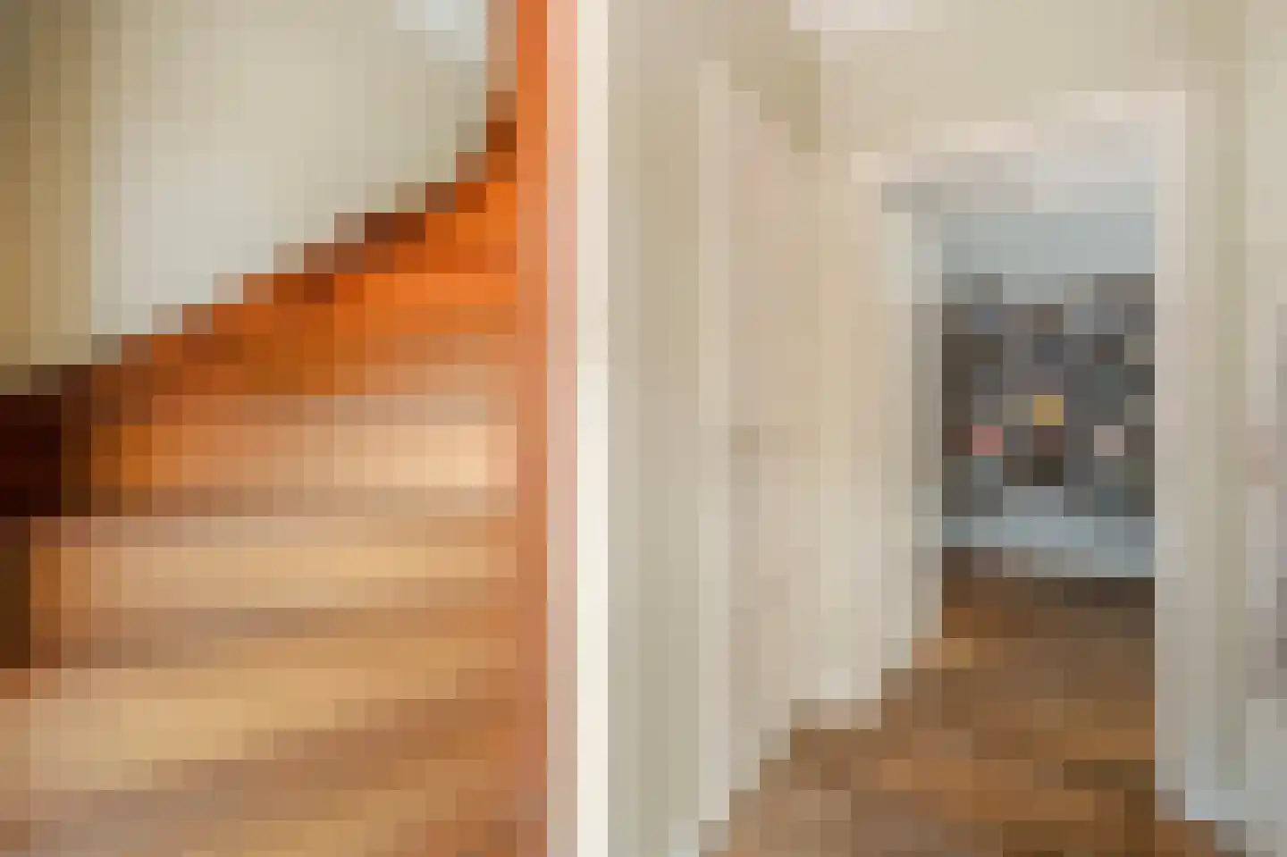 Lantmanstraat 18 Waarland thumbnail 8