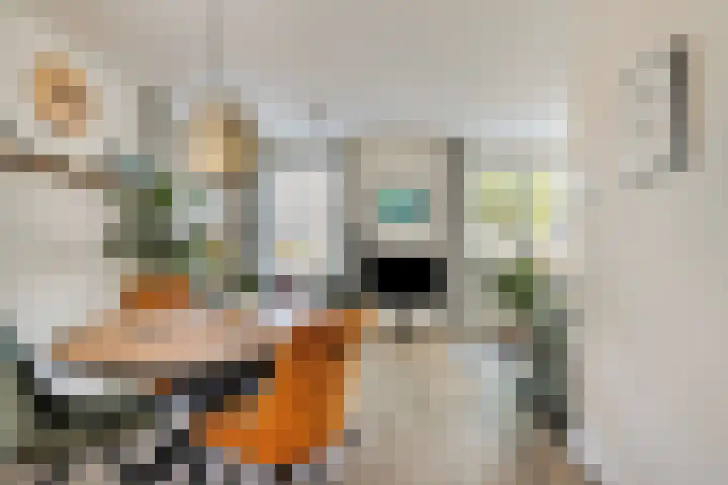Lantmanstraat 22 Waarland thumbnail 13
