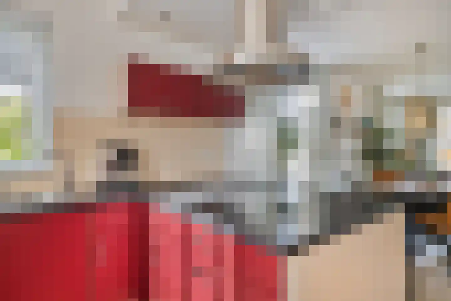 Lantmanstraat 22 Waarland thumbnail 19