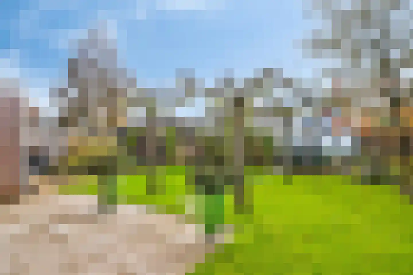Lantmanstraat 22 Waarland thumbnail 45