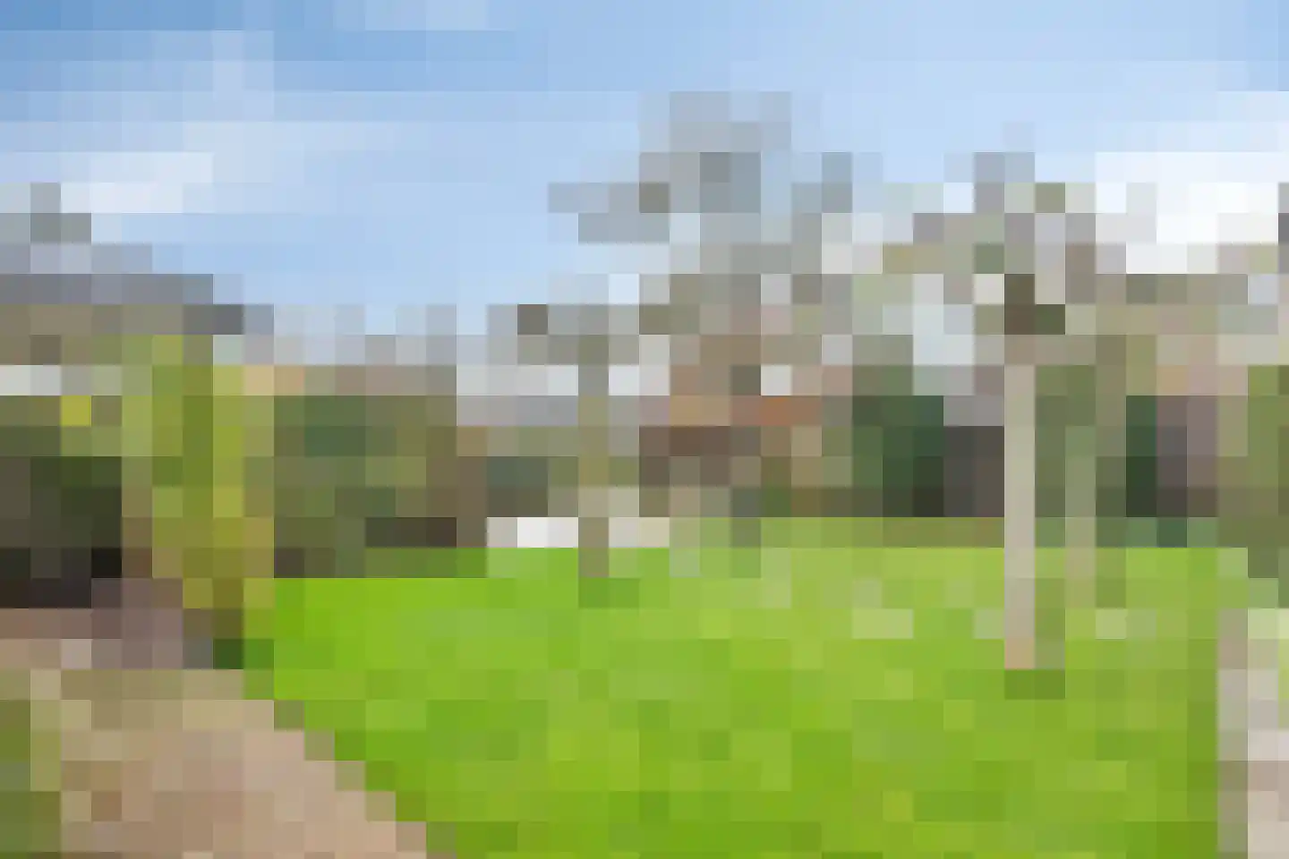 Lantmanstraat 22 Waarland thumbnail 47