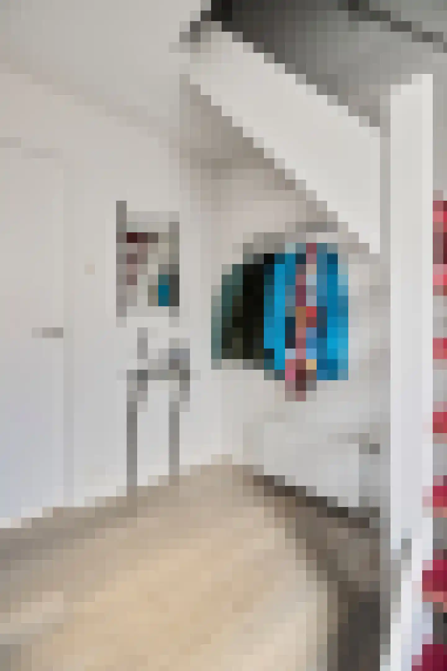 Lantmanstraat 22 Waarland thumbnail 9