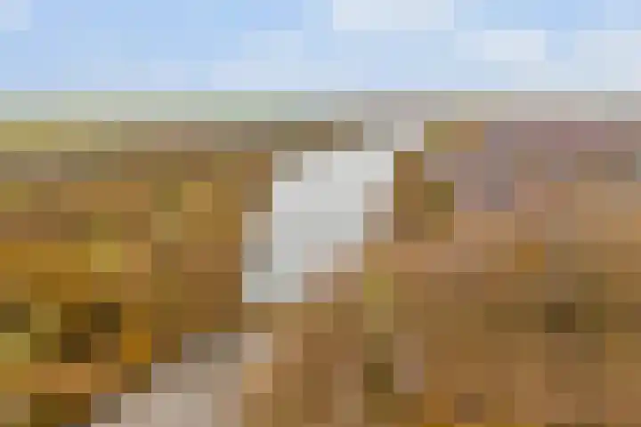 Lanuariusweg 24 De Meern thumbnail 37
