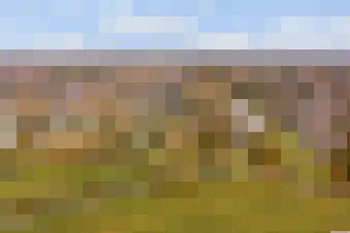 Lanuariusweg 24 De Meern thumbnail 39