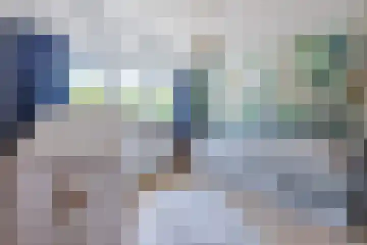 Lanxmeersestraat 4 Culemborg thumbnail 18