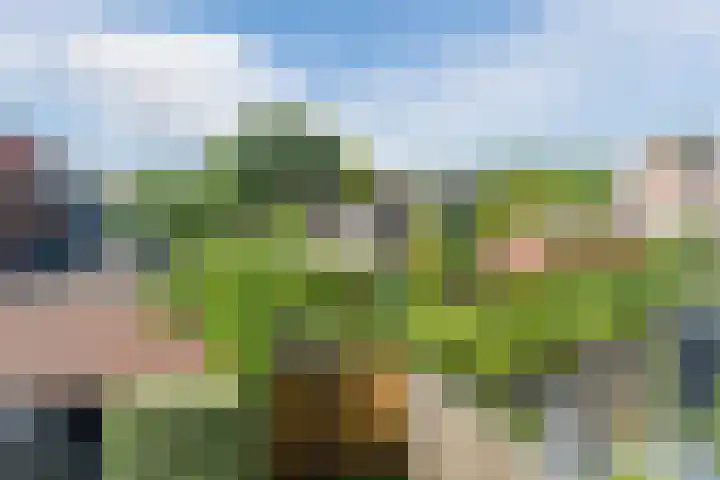 Lanxmeersestraat 4 Culemborg thumbnail 31