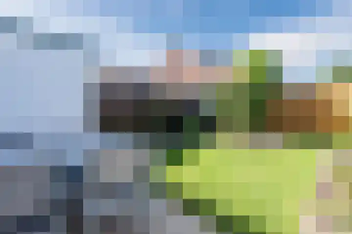 Lanxmeersestraat 4 Culemborg thumbnail 32