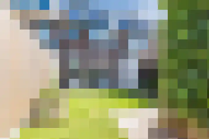 Lanxmeersestraat 4 Culemborg thumbnail 34