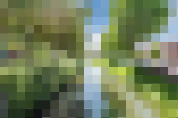 Lanxmeersestraat 4 Culemborg thumbnail 35