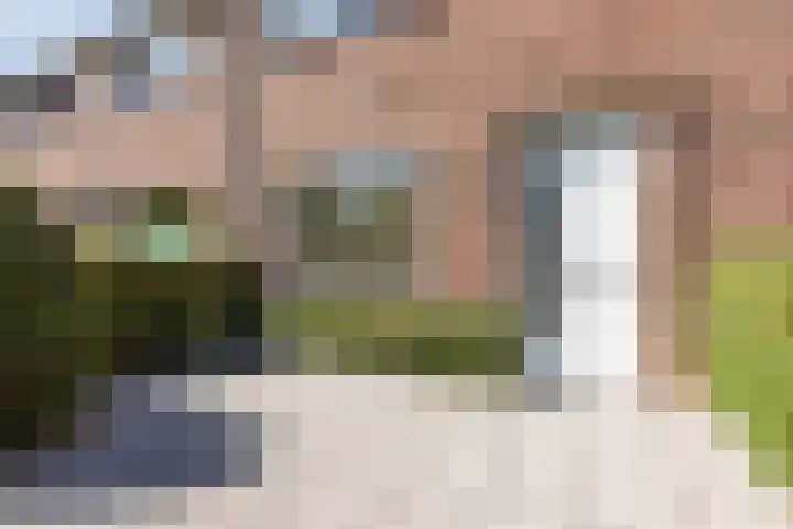 Lanxmeersestraat 4 Culemborg thumbnail 7
