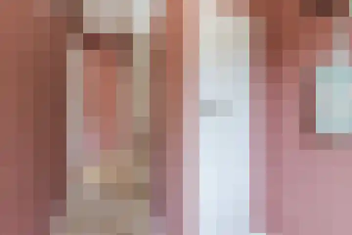 Lanxmeersestraat 4 Culemborg thumbnail 8