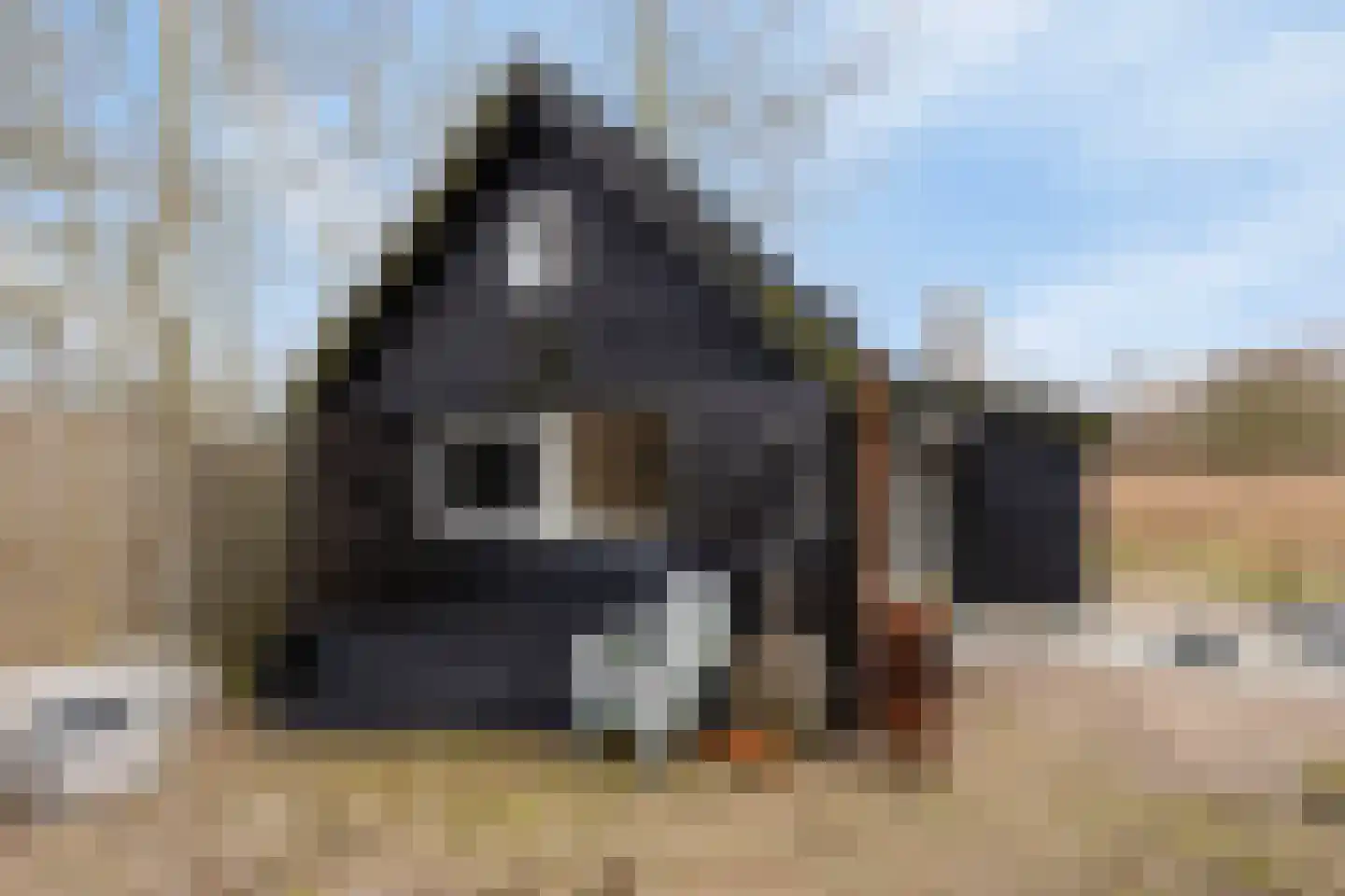 Laone 16 Renesse thumbnail 22