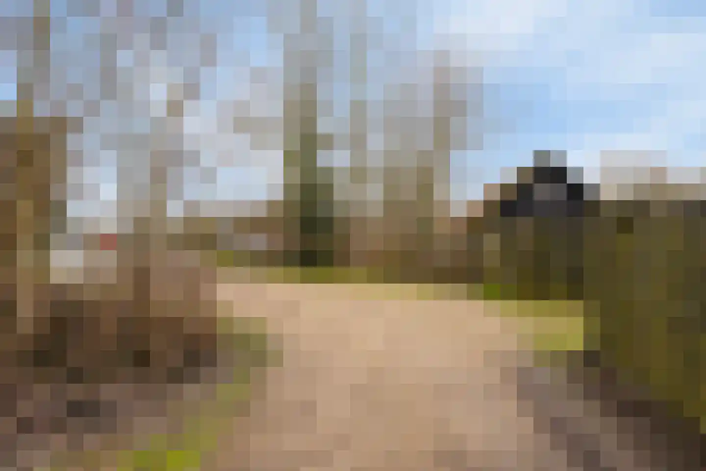 Laone 16 Renesse thumbnail 24