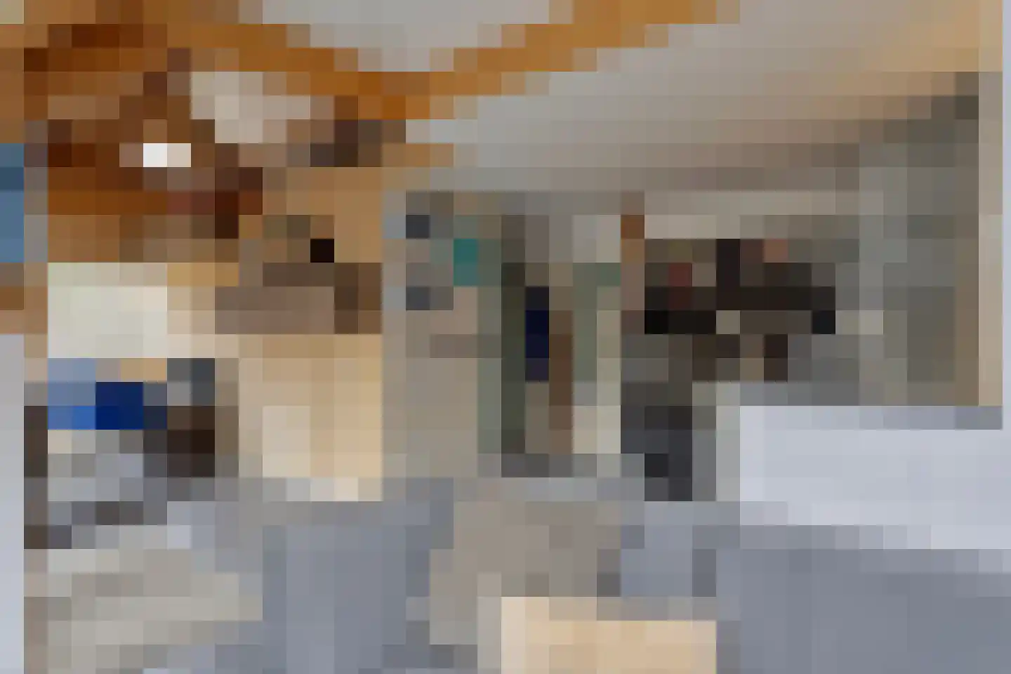 Laone 16 Renesse thumbnail 25
