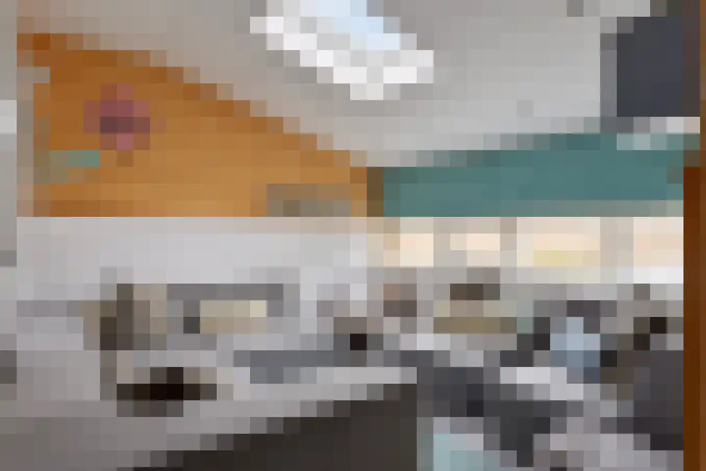 Laone 16 Renesse thumbnail 26