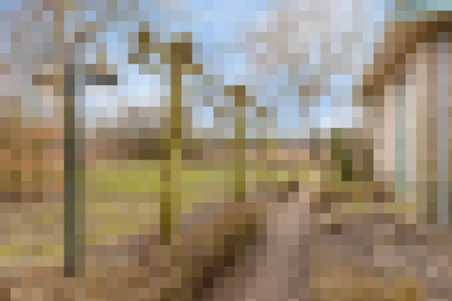 Laone 16 Renesse thumbnail 32