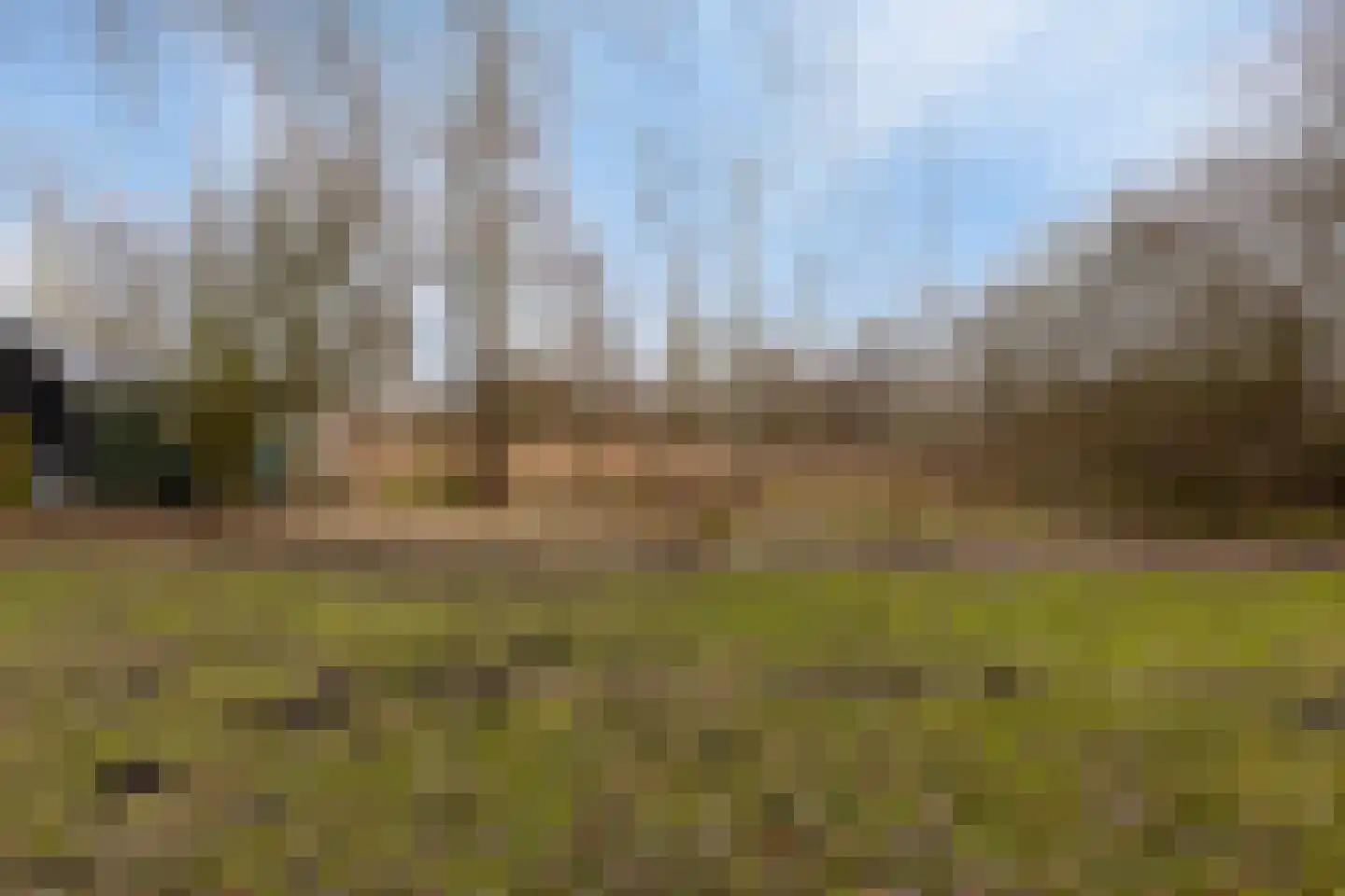 Laone 16 Renesse thumbnail 36