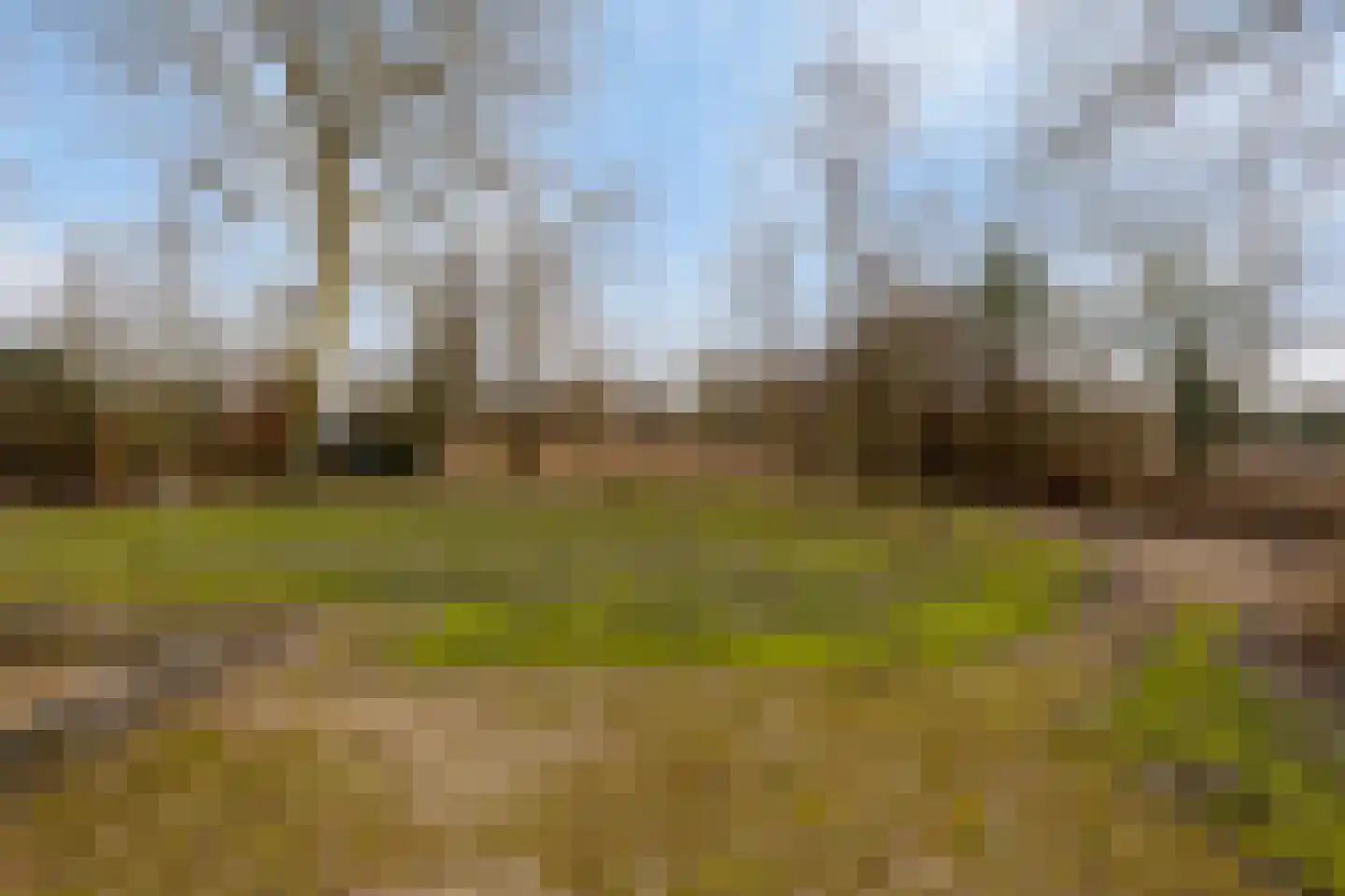 Laone 16 Renesse thumbnail 37