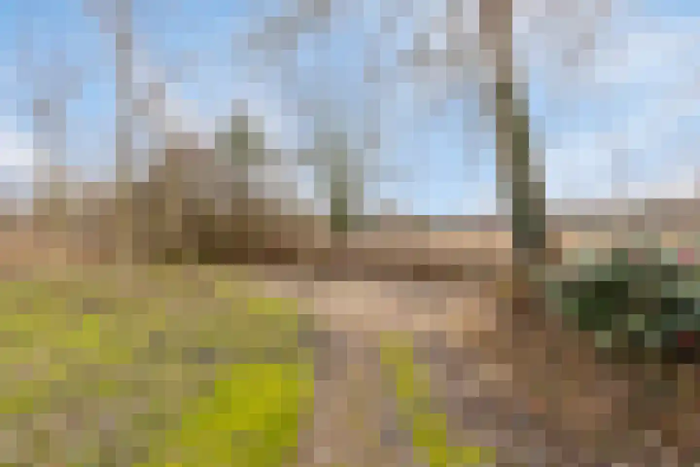 Laone 16 Renesse thumbnail 38