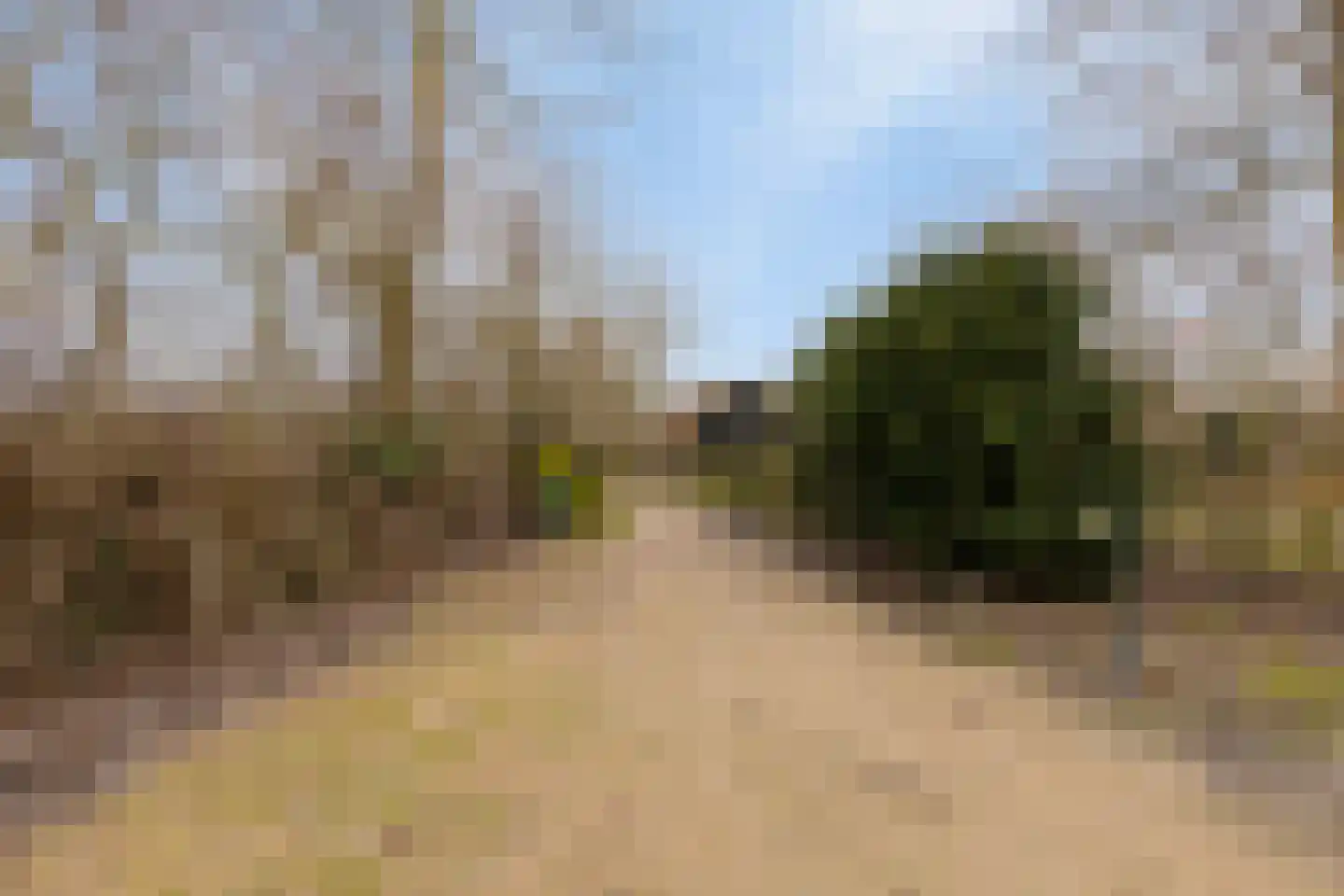 Laone 16 Renesse thumbnail 39