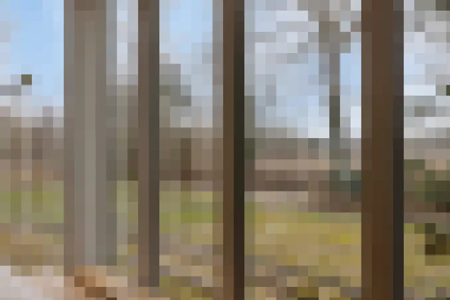 Laone 16 Renesse thumbnail 4