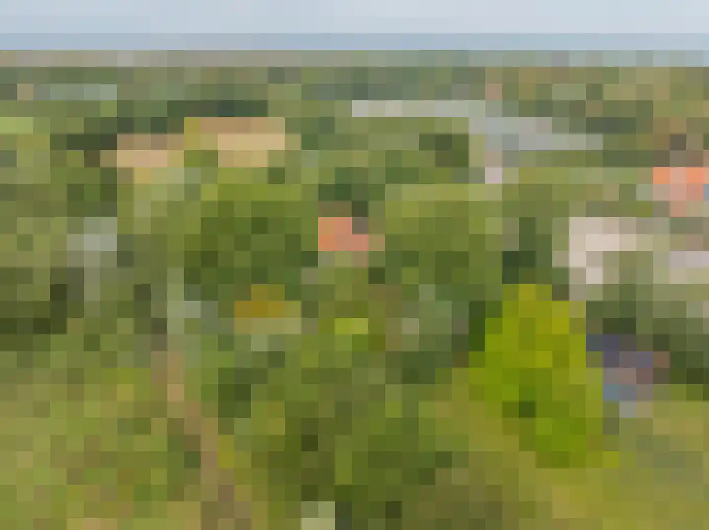 Laone 16 Renesse thumbnail 40