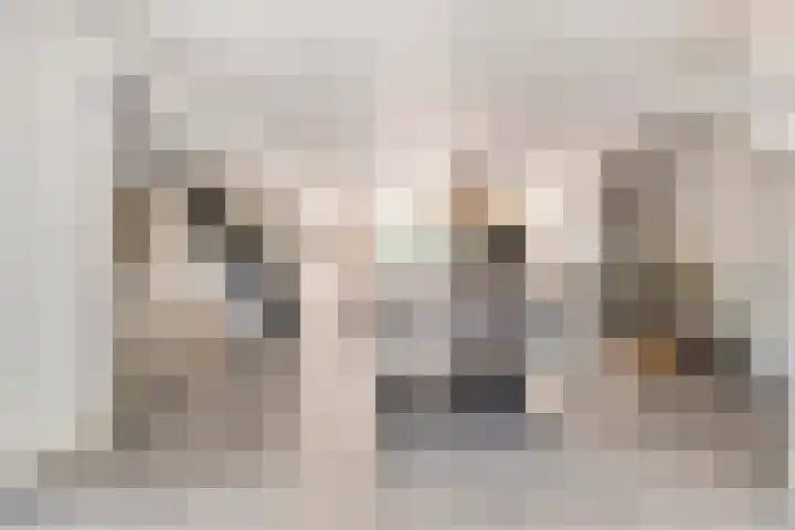Laone 21 Renesse thumbnail 14