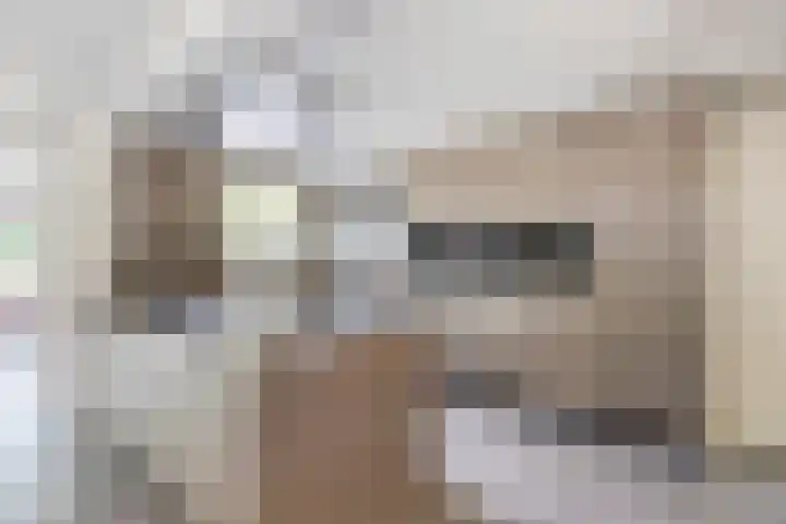 Laone 21 Renesse thumbnail 15