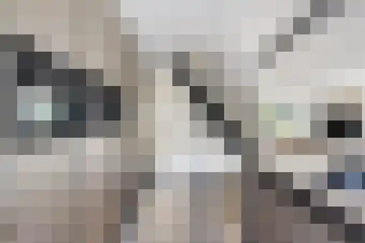 Laone 21 Renesse thumbnail 17
