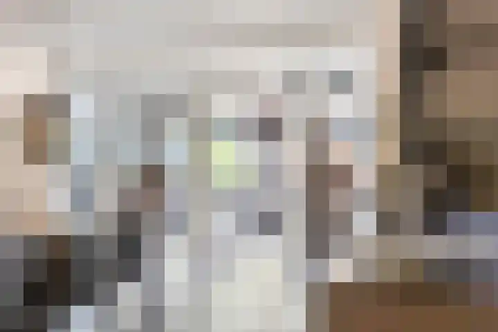 Laone 21 Renesse thumbnail 19