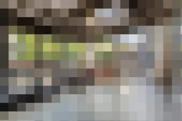 Laone 21 Renesse thumbnail 21
