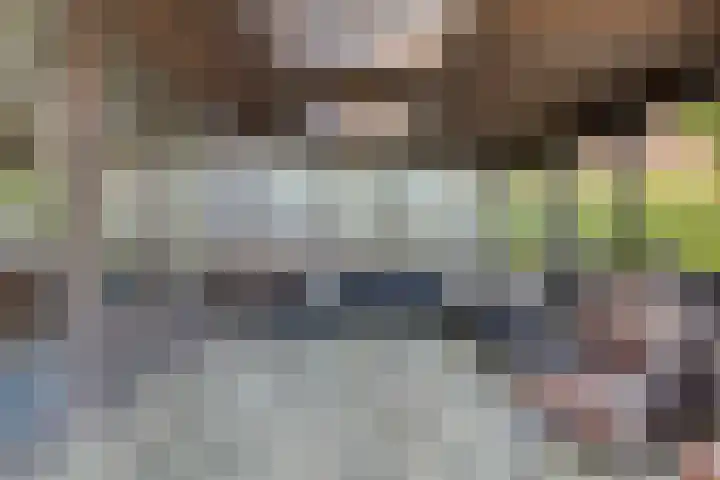 Laone 21 Renesse thumbnail 22