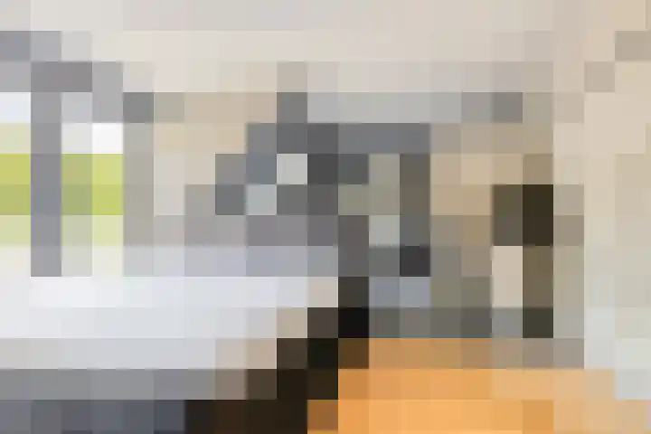 Laone 21 Renesse thumbnail 26
