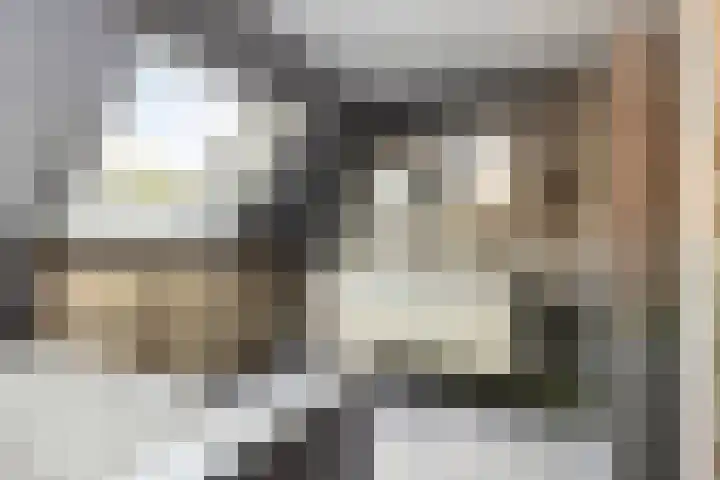 Laone 21 Renesse thumbnail 27