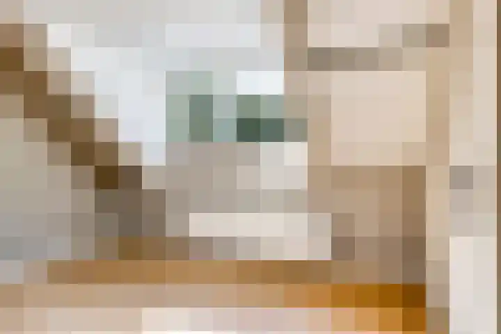 Laone 21 Renesse thumbnail 33