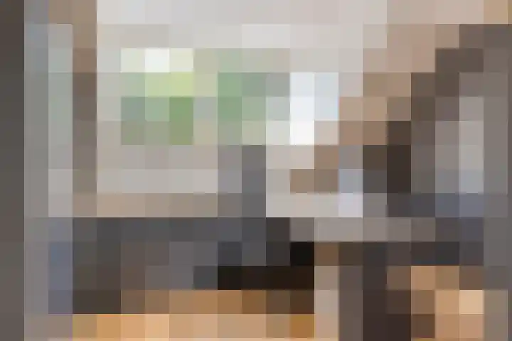 Laone 21 Renesse thumbnail 35
