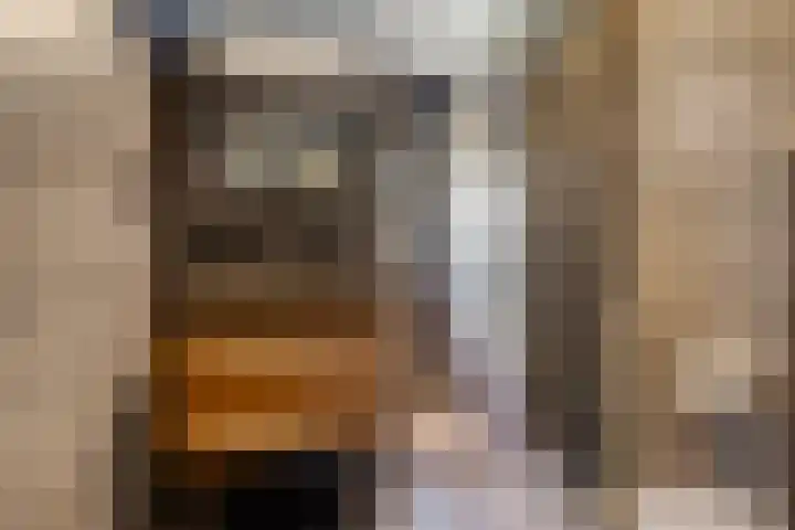 Laone 21 Renesse thumbnail 36