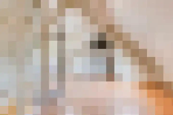Laone 21 Renesse thumbnail 39