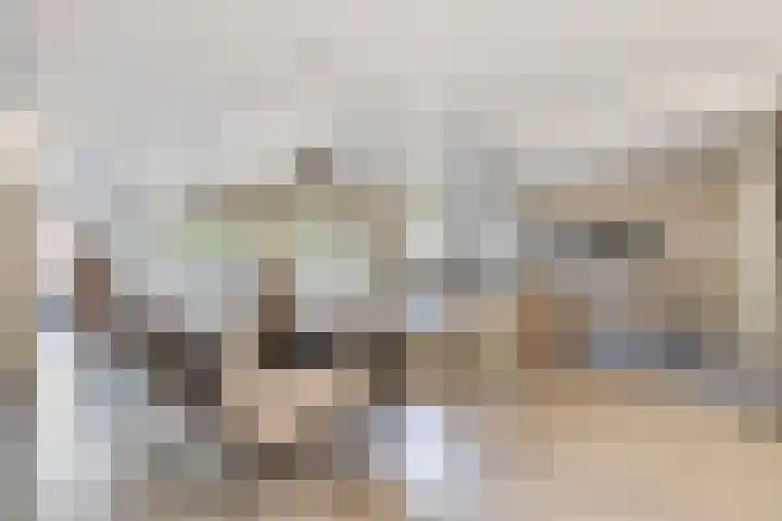 Laone 21 Renesse thumbnail 4