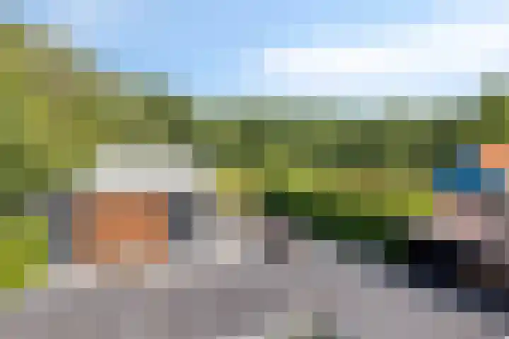 Laone 21 Renesse thumbnail 40