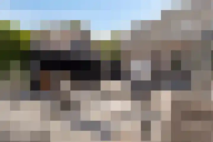 Laone 21 Renesse thumbnail 42