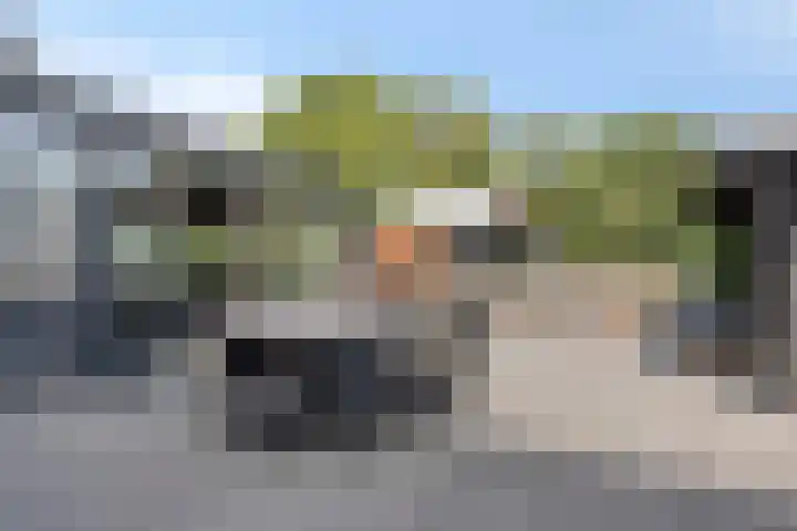 Laone 21 Renesse thumbnail 43