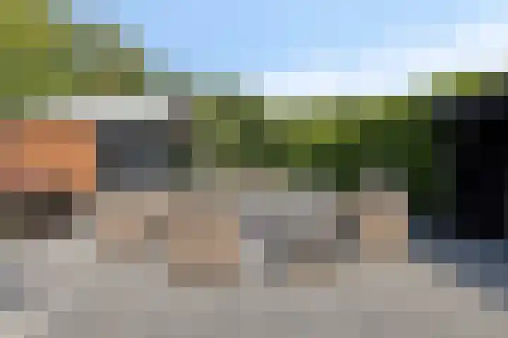 Laone 21 Renesse thumbnail 44
