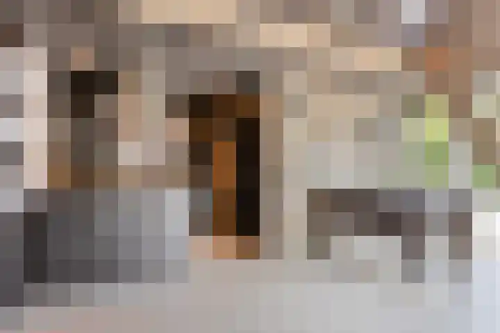 Laone 21 Renesse thumbnail 47