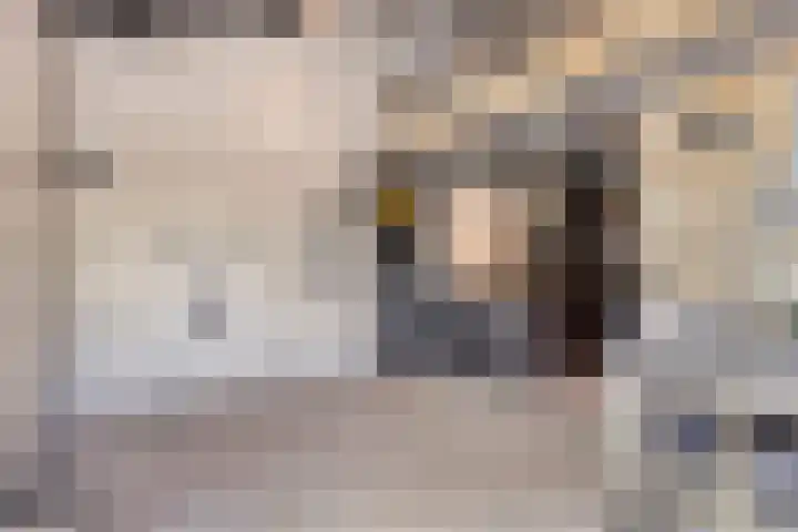 Laone 21 Renesse thumbnail 48