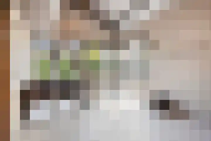 Laone 21 Renesse thumbnail 49