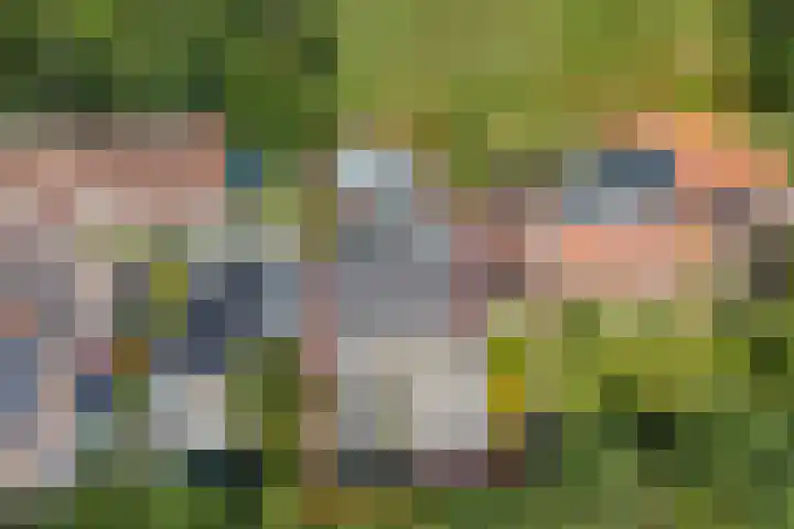 Laone 21 Renesse thumbnail 5