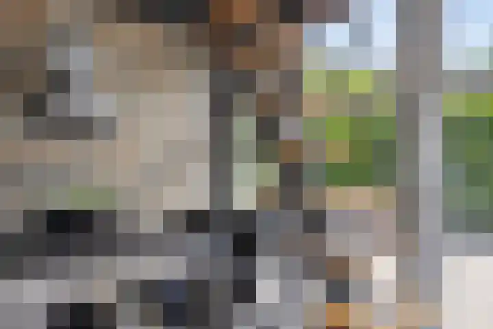 Laone 21 Renesse thumbnail 50