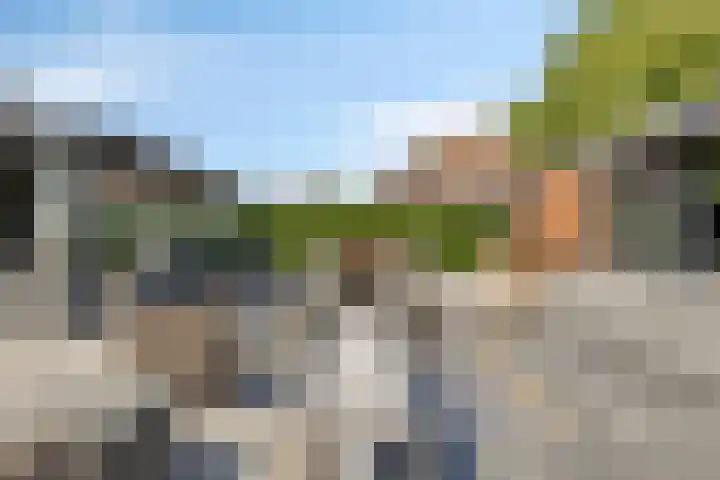 Laone 21 Renesse thumbnail 55